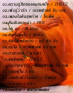 คาราโอเกะ - ร็อคโดนใจชุดพิเศษ VCD1287-web2
